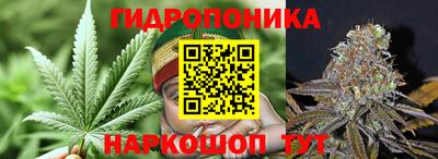 дживик Кимры