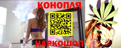 хмурый Кингисепп