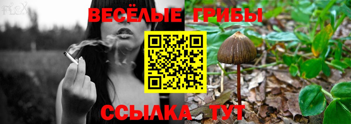 Галлюциногенные грибы ЛСД  Вход с VPN  Юрга 
